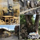 나무그늘 포토타임 이미지