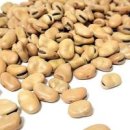 파바빈 효능 부작용 파바빈콩 씨앗 잠두콩 먹는법 이미지