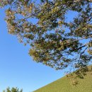 부산기연(유) | 10월 경주 최고야 🍁 (경주2박3일, 소노벨경주 후기, 경주월드 후기, 경주맛집 경주핫플)