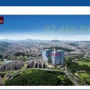 신내데시앙 이미지