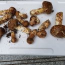 고래산농장 이미지