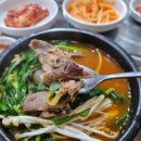 동강염소 네이버블로그