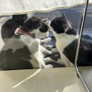 원플러스원 이미지