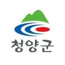 목면대평 충남일보
