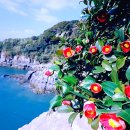 오동도로 이미지