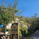 백천사 | 사천 가볼만한곳, 와룡산에 위치한 경치가 정말 좋은 백천사 방문 후기:)