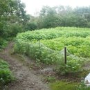 남해상사 이미지