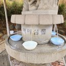 테미샘물