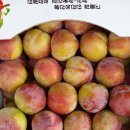 통통과일 이미지
