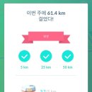 고다시 이미지