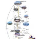 10월 정기산행[문경새재 옛과거길] 수정 이미지