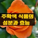 성부식품