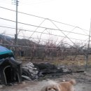 관문농장 이미지