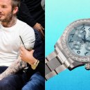 애플트리PC존 이미지