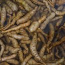 영진고등학교 이미지