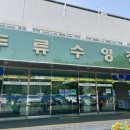 [대구 달서구] 두류 수영장 | 평일 자유수영 자세한 후기 | 영업정보 | 요금 | 시설