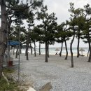 죽도캠핑장 이미지