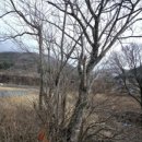 기북면행정복지센터 이미지