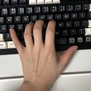 데이터팜 | 키보드손목받침대 페블온 아이스바 팜레스트 후기