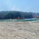 유진 태양광발전소 이미지