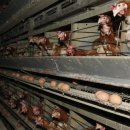 강산농장 이미지