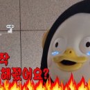모란자동차운전학원