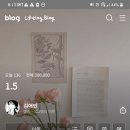애빈 이미지