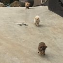 백순농장 이미지