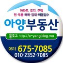 데시앙베스트공인중개사사무소 | 경기 안성시 아양지구 시티프라디움 상가 베스트1 추천