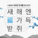 수원-1508 네이버블로그
