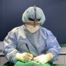 금천동물병원 이미지