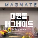 매그네이트 이미지