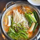 오렌지교통 | 영종 오렌지듄스CC 라운딩 후기-수도권 골퍼의 단골 성지 | 봄 시즌 코스 컨디션 완전 점검