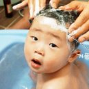 건돌이