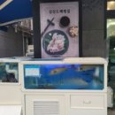반해쏘 | 양산 맛집 추천 / 싱싱 도매 횟집 물금점 찐 후기