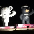 다미가든 이미지