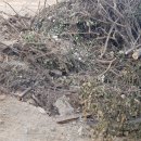 남기농장 이미지