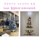 산마루가든센터 | 모던하우스 크리스마스 용품 50%할인 구매 (예당저수지 드라이브 쓰루 콧바람)