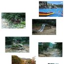 김경진순녹두빈대떡집 이미지