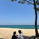 세븐일레븐송정점 | [강원도/강릉] 송정불향쭈꾸미, 단체석 가능한 강릉송정해변 식당, 깔끔하고 맛있는 집
