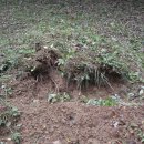 산이축산 이미지