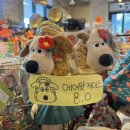 소랑마을2세천 | 제주 소품샵 제주 선물 소랑아시, 서귀포 가볼만한곳 놀거리 추천