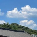 멍편한세상 이미지