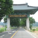 냉산공원 Daum카페