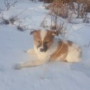 무림농장 이미지