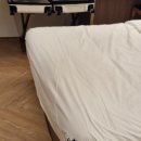 하운드호텔덕진점 | [전주 덕진동] 한옥마을 차량10분 덕진공원 근처 *하운드호텔 전주덕진점* 방문 후기