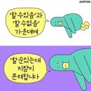 (주)디엠 이미지