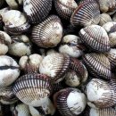 벌교택배2 이미지