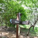 ❤️ 2026.7.16(목), 아미산 둘레길, 응봉봉수대 이미지