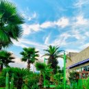 마로니에 미니골프 이미지